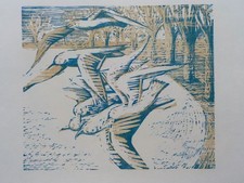THEA KOWAR - Möwen. Farbholzschnitt um 1980, Probedruck von zwei Druckstöcken