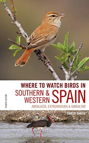 Where watch birds in - where,