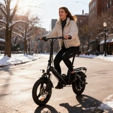 14'' Foldable E Bike Peak 750W