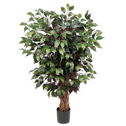 Ficus benjamini kunstpflanze - ficus,