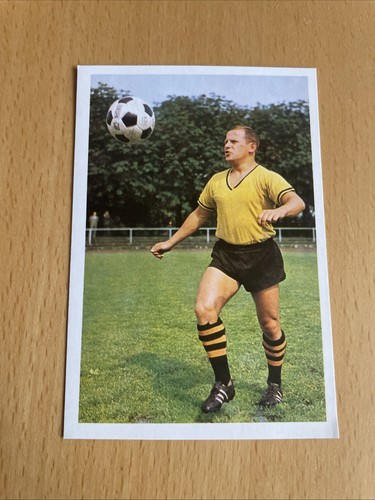 Bergmann 1966 71 kurrat - ,