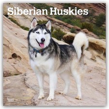 Siberian Huskies - Siberian