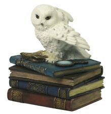 Schneeeule sitzt auf Büchern