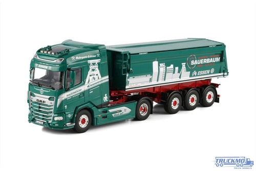 Wsi sauerbaum daf 4x2 non - xg,