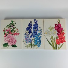 Wunderwelt der Gartenblumen