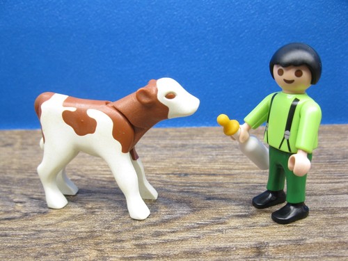 Junge mit kalb bauernhof - junge,