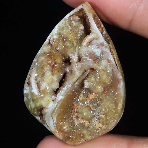 Natürlich fossil schnecke - natürlich,
