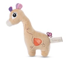 First nici schmusetier - nici,