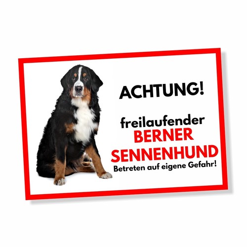 Berner sennenhund - berner,