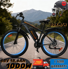 Elektrofahrrad 1000W 29Zoll