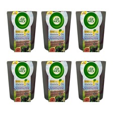 Air Wick Blütenzauber