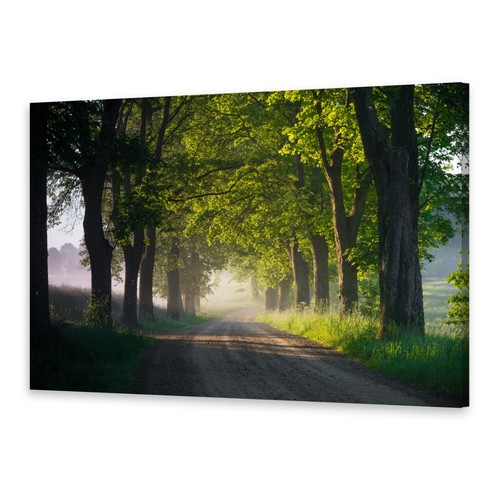 Leinwand bilder wandbild - leinwand-bilder, druck