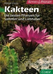 Kakteen die besten pflanzen - besten,