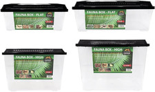 Terra Exotica Fauna Box Flat