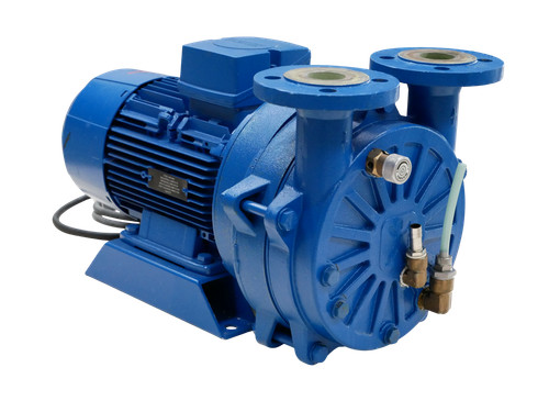 Speck pumpen 55 - speck,