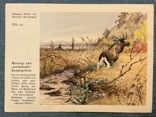 Natur-Bilder + Berliner