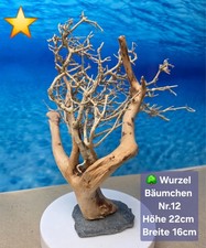 🌳Aquarium Wurzel Bonsai