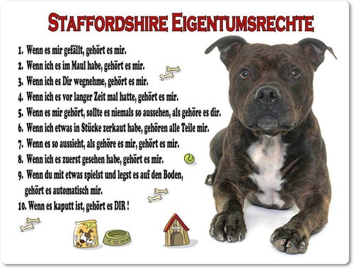 Warnschild 20x30cm - warnschild,