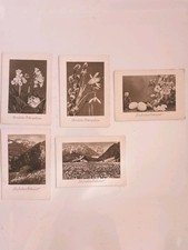Postkarten alt Kupferdruck