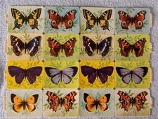 alter Glanzbilder Groß-Bogen  M.P. 892 Schmetterlinge