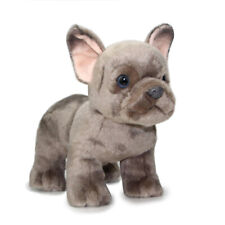 Französische Bulldogge