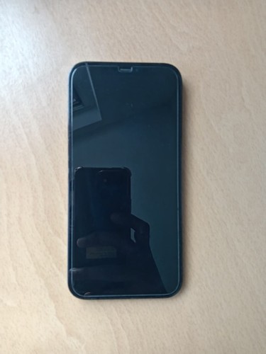Iphone pro max 256gb - 12,