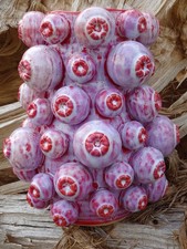 Keramikvase " Mohna "