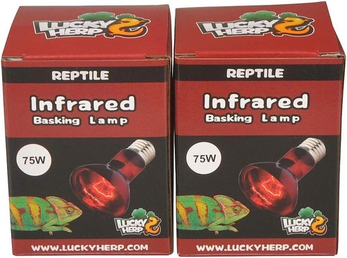 Infrarot basking bulb - infrarot,
