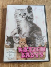 Katzenbabys DVD – Spannende