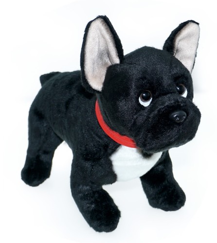 Französische bulldogge - französische,