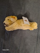 280160 Lumpi Golden Retriever