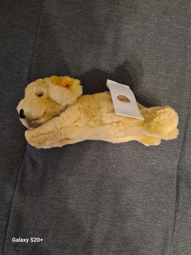 280160 lumpi golden retriever - golden,