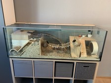 Nagarium 150 cm x 50 cm x 50