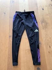 DFB Trainingshose Herren