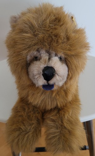 Original 0338 steiff hund - original,