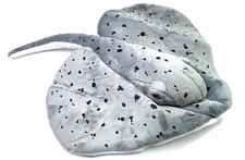 Stachel Rochen Groß Platt