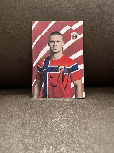 Erling haaland norwegen wm - norwegen,