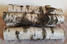 Birkenstamm Deko, 5 Stück, 35