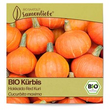 BIO Kürbis Samen Red Kuri Cucurbita maxima Kürbis Saatgut