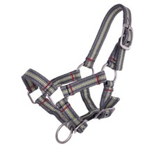 QHP Fohlenhalfter Stripe