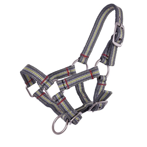 Qhp fohlenhalfter stripe - qhp,