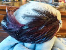 Wunderschöner Kleiner