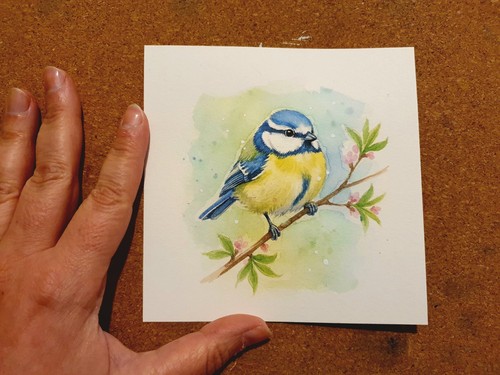 Aquarell blaumeise - aquarell,