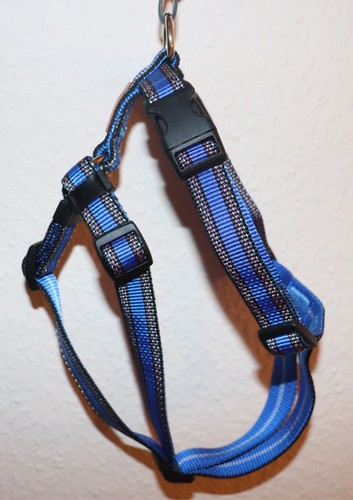 Mops brustgeschirr blau mit - mops,