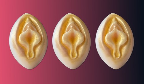 Mini vagina vulva - mini, form