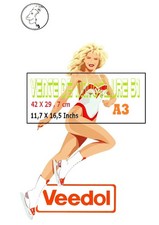 Veedol Pin Up - Lion Horoscope