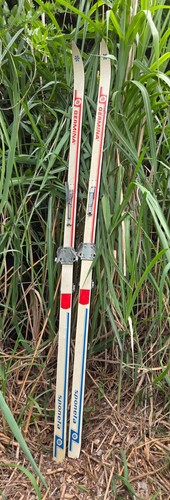 Ski ohne stöcke - ohne,