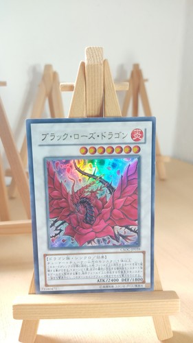 Black rose dragon schwarzer - -,