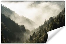 Vlies Fototapete WALD Bäume