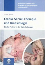 Cranio-Sacral-Therapie und